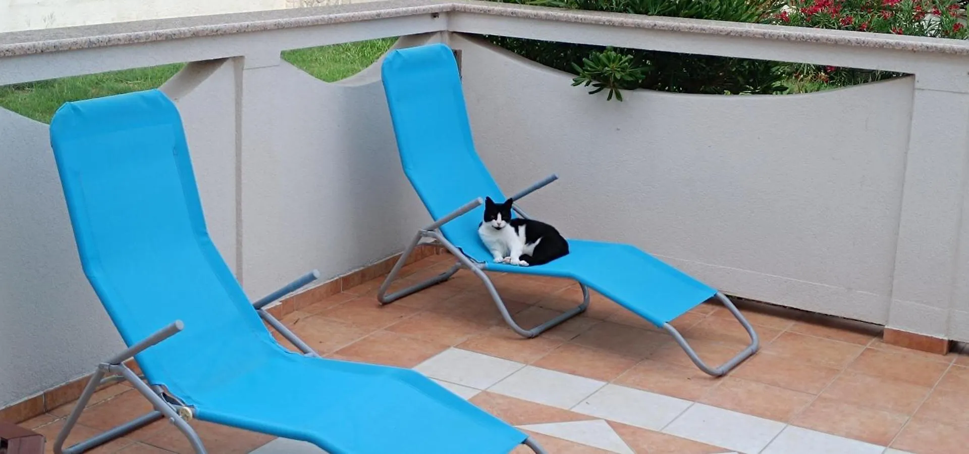 Apartmani Kunteja Pag Town Croatia